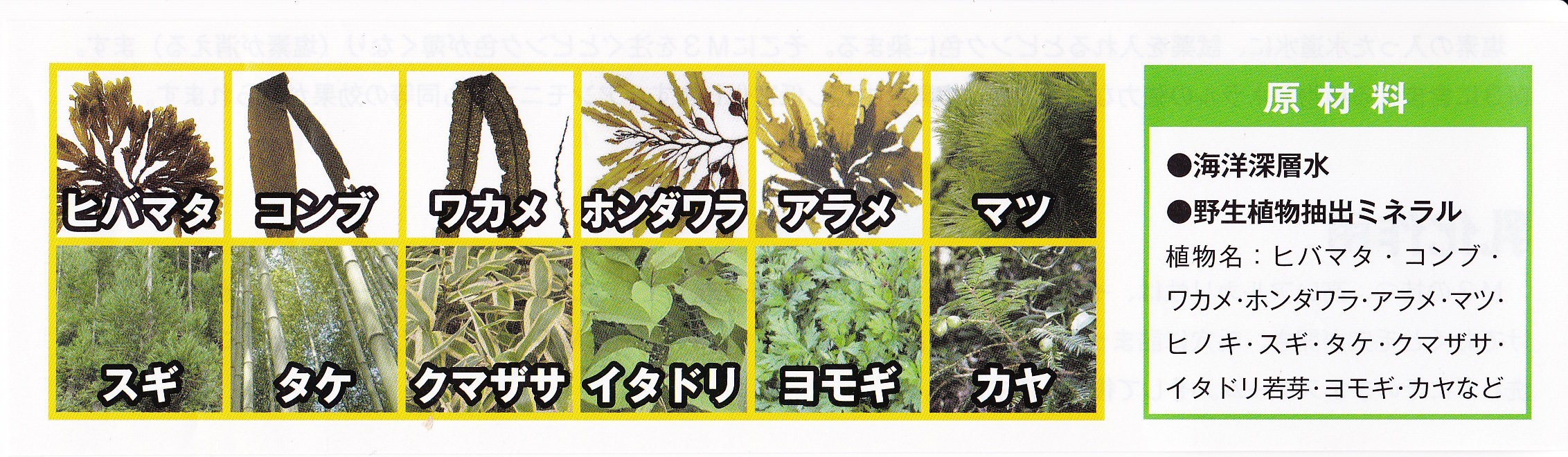 原材料　海洋深層水　野生植物抽出ミネラル