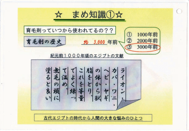 髪と頭皮のまめ知識