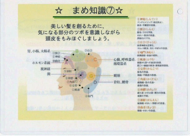 髪と頭皮のまめ知識