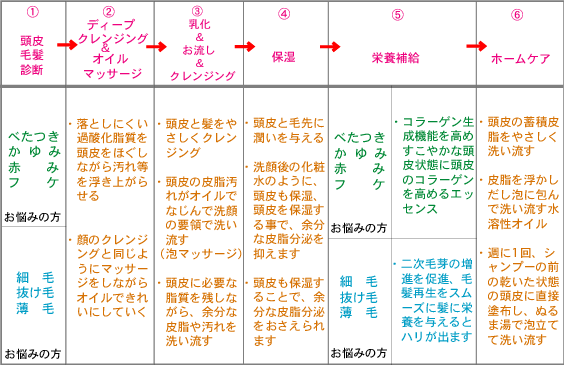 LIFA 施術の流れ